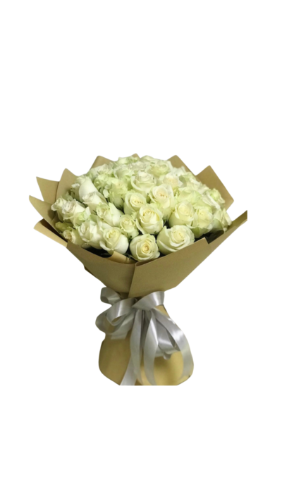 NAtural White - 650 aed Natural White