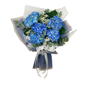 Ocean Blue Hydrangeas