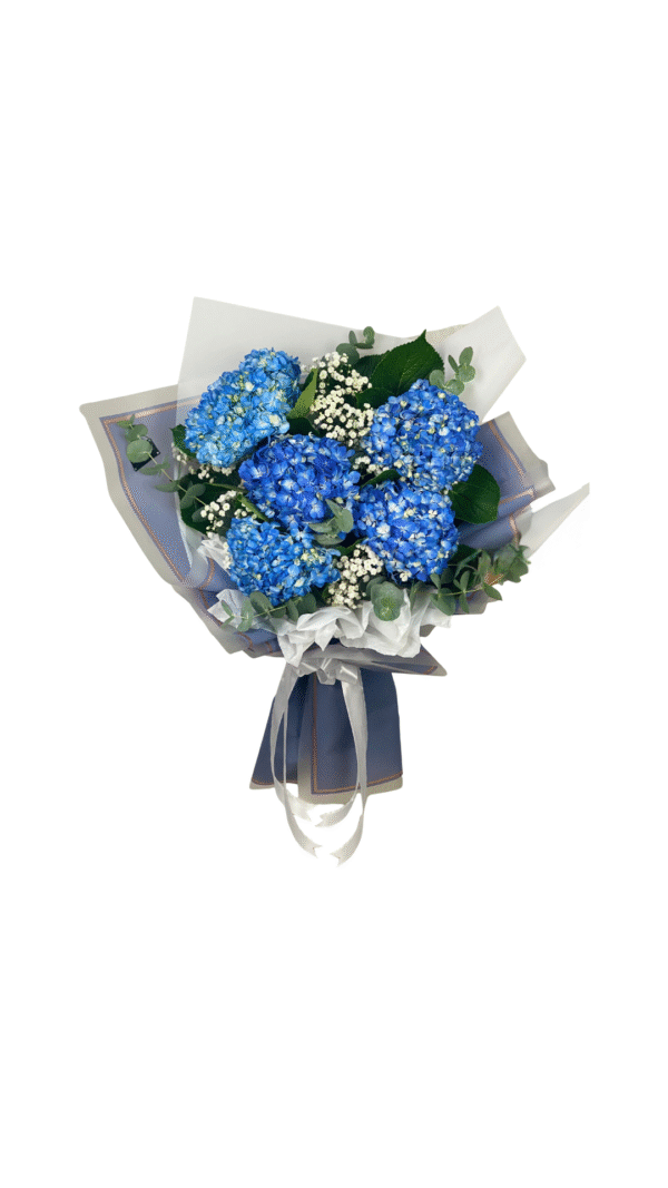 Ocean Blue Hydrangeas