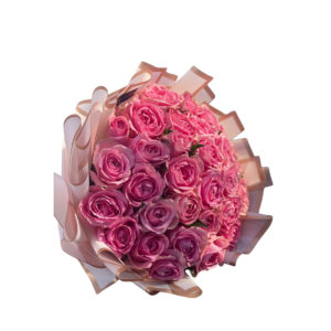 Blushing Romance