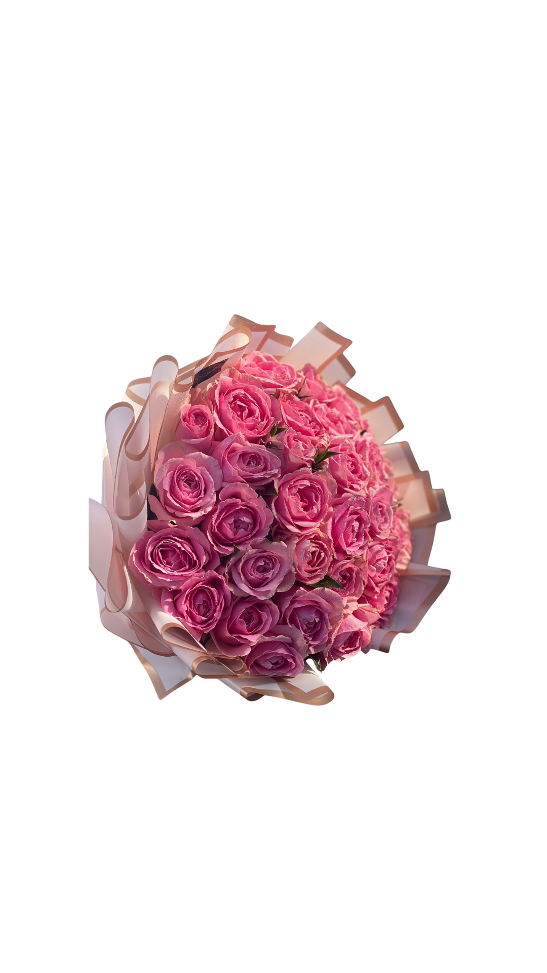 Blushing Romance