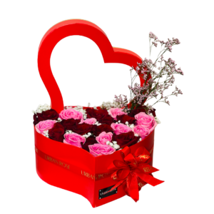 Pink & Red Heart